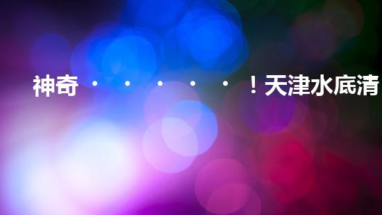 神奇！天津水底清淤固化設(shè)備：解開海底秘密！